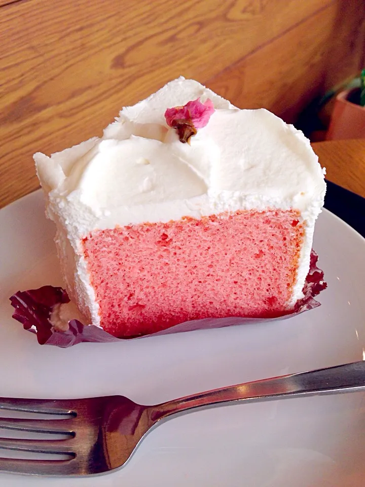 Snapdishの料理写真:🌸桜だいすき🌸スターバックスの桜シフォンケーキ。花びらひらひら舞う季節が楽しみです。今年の桜シフォンケーキは桜色が濃いですね。|Kumi_loveさん