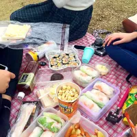 Snapdishの料理写真:Picnic day,I made the spring roll|Orange Leungさん