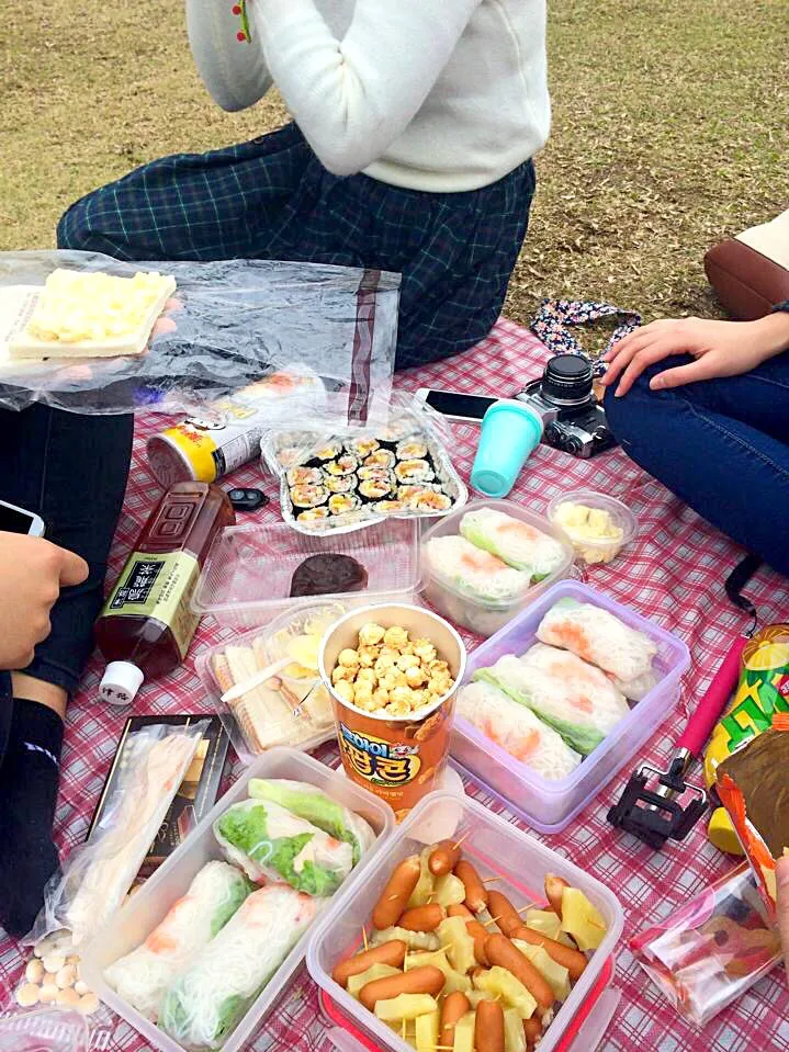 Picnic day,I made the spring roll|Orange Leungさん