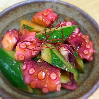 チョジャン 料理のレシピと料理アイディア19件 Snapdish スナップディッシュ