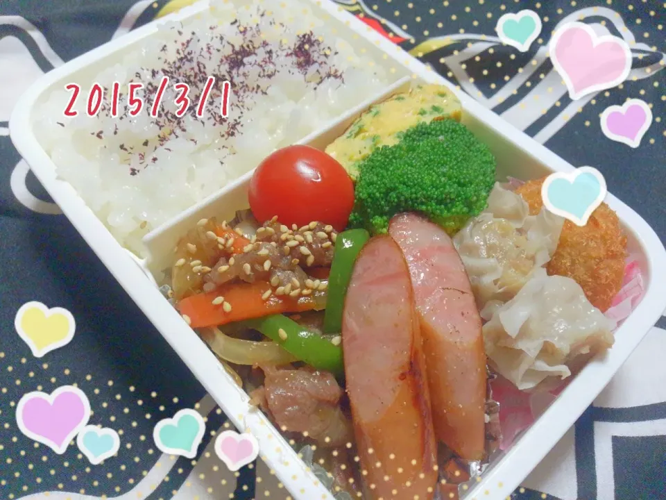 ダンナ弁当|marikoさん