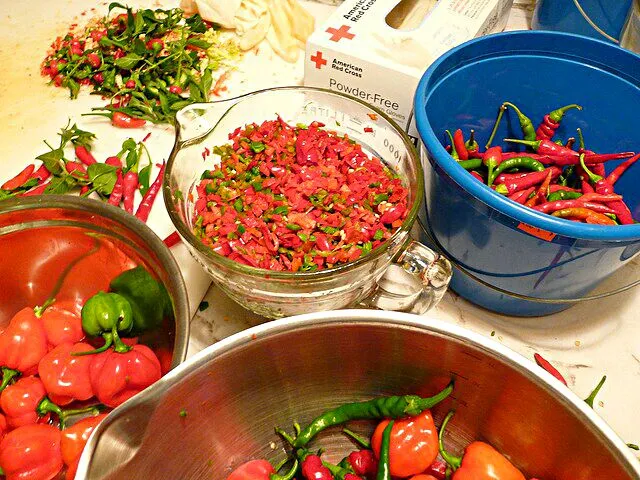 My Family Making Salsa #Snack/Teatime #Party #Vegetable 🌟 🌟 🌟 🌟 🌟|Alisha GodsglamGirl Matthewsさん