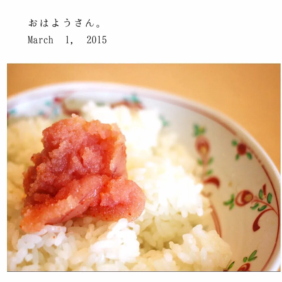 明太子ご飯|yasuko murakamiさん