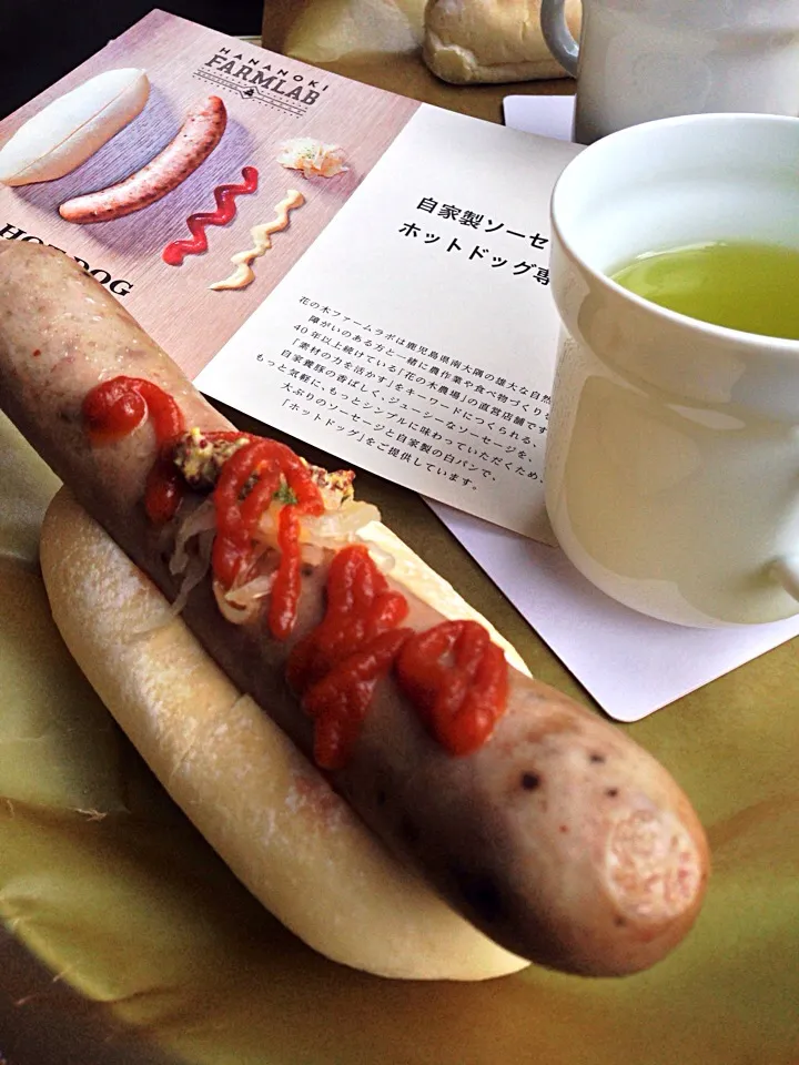 すねにくHOTDOG＋カモミール緑茶|Hironori Matsuoさん