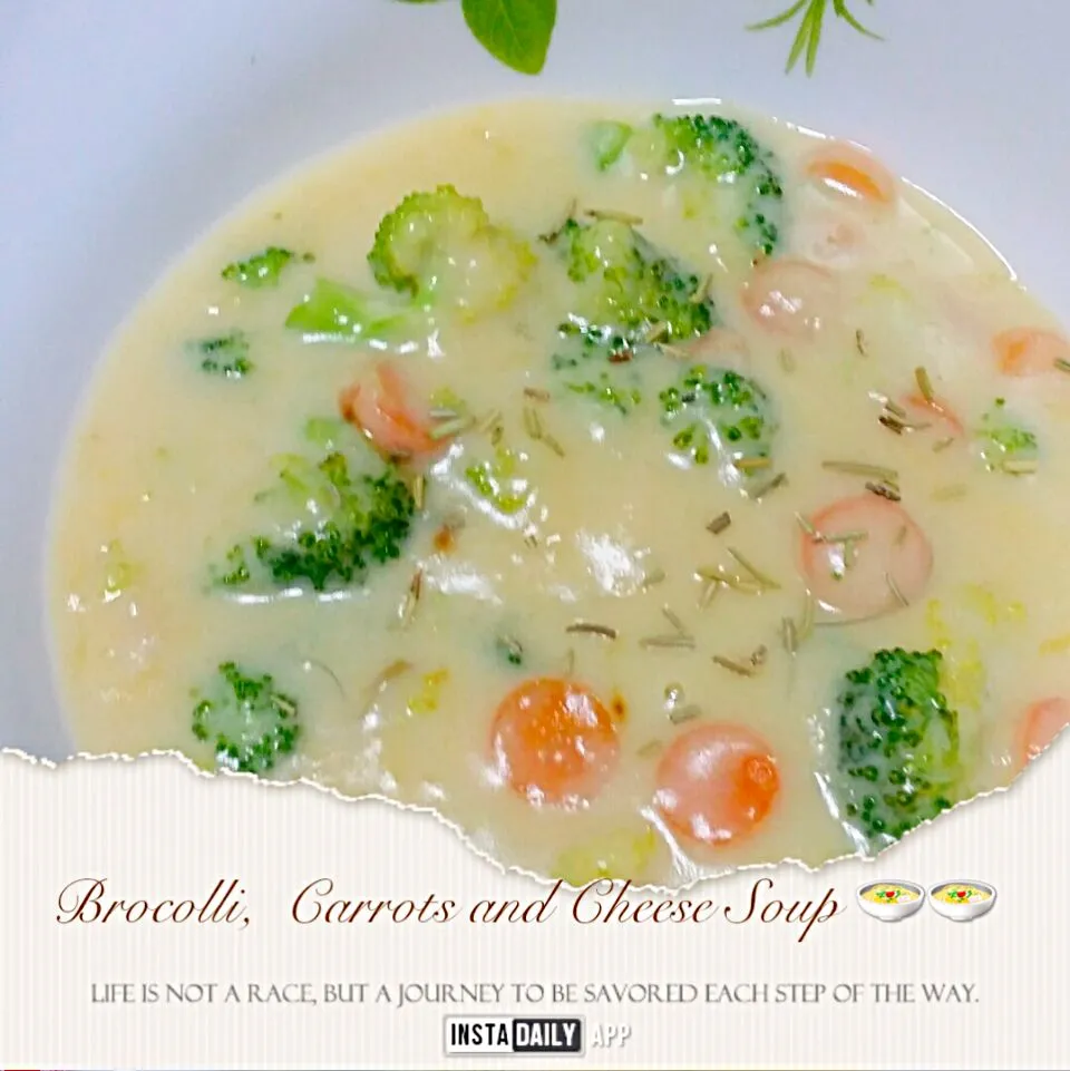 Brocolli, Carrots and Cheese Soup 🍲 🍲|Chua Jeanさん