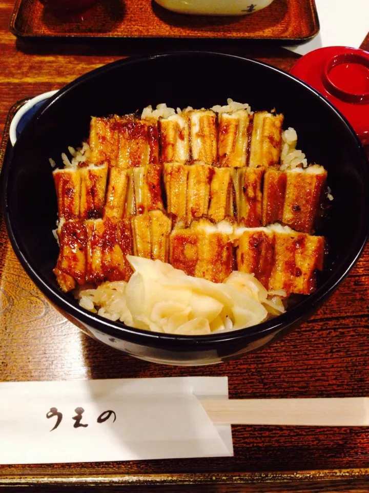 Snapdishの料理写真:宮島口で！うえのの穴子丼|ゆっかさん