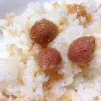 Snapdishの料理写真:梅ごはん