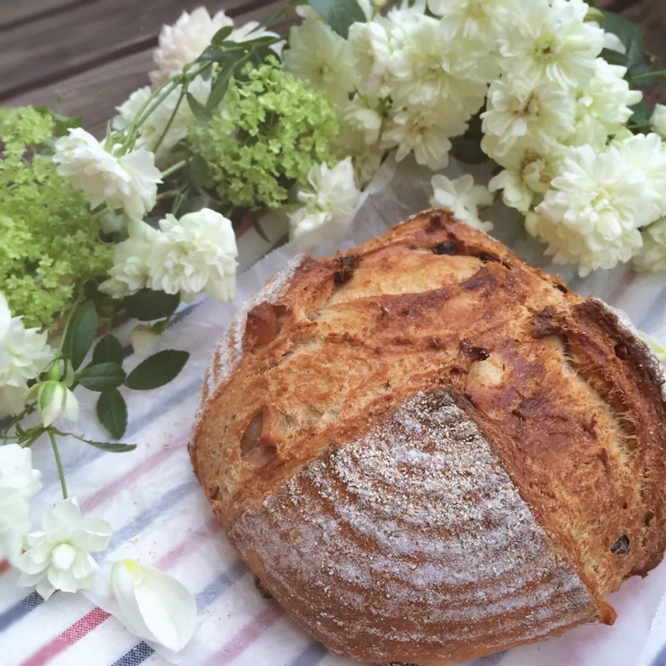 pain de campagne aux fruits secs*|⋆͛*͛wandering.cat⋆͛*͛さん