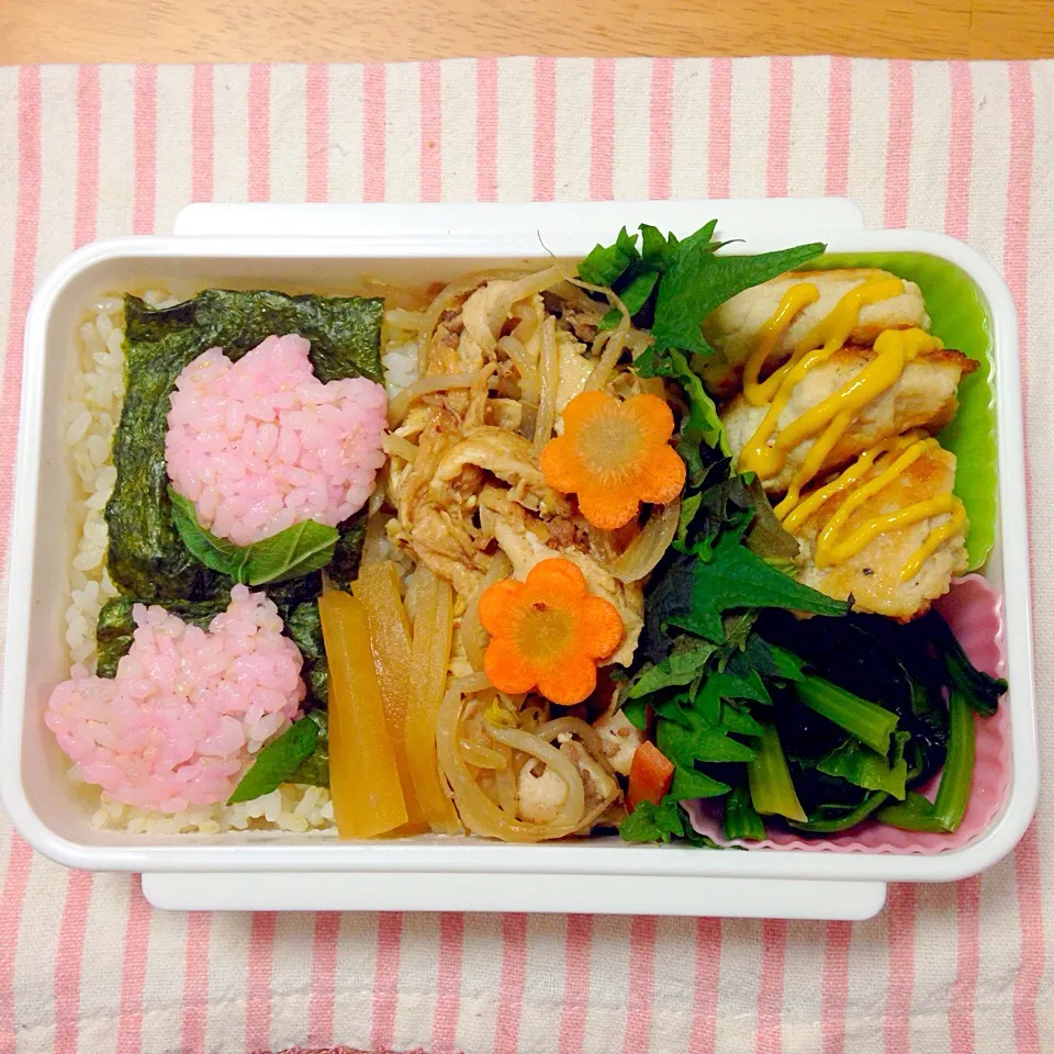 旦那さん弁当♡チューリップのお弁当|のんたんさん