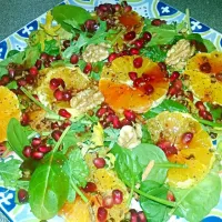 Snapdishの料理写真:Orange Pomegranate Salad              I could it this everyday!!!|Christygrlさん