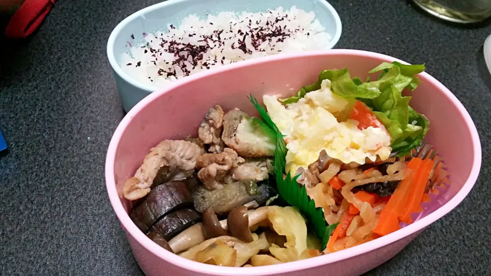 Snapdishの料理写真:今日のお弁当|cocoaさん