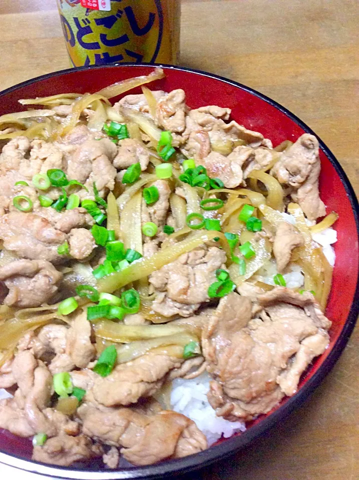 ゴボウと豚挽肉の甘辛丼♫(^_^)v|Norio Fukudaさん