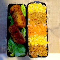 そぼろ弁当！|なつきさん