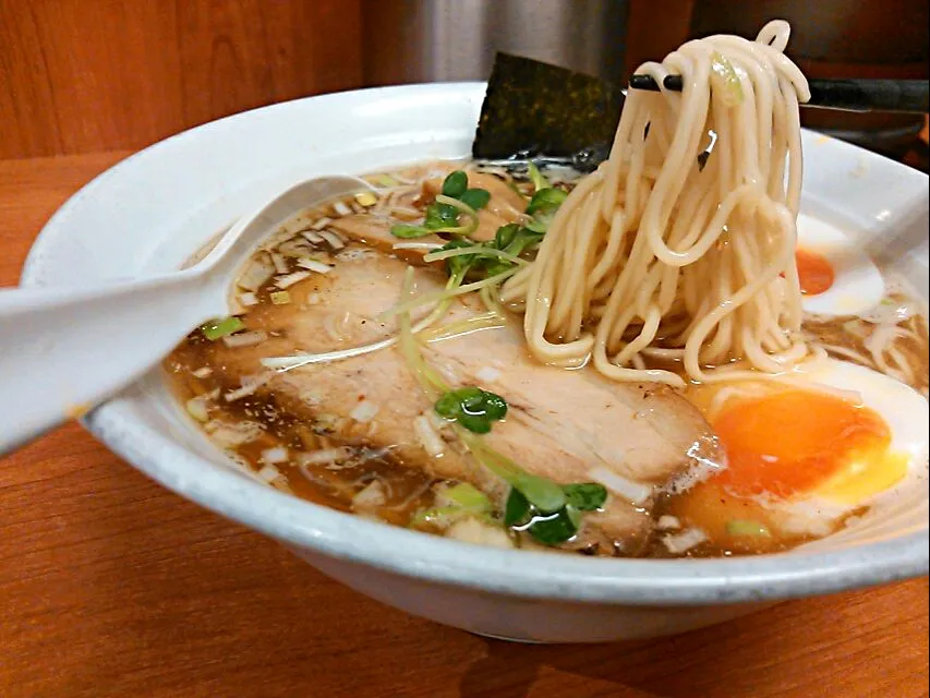 50食限定濃厚煮干しそば|ちびめがさん