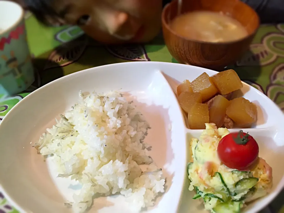 平日晩ごはん☆大根と豚肉の甘じょっぱ煮・ポテトサラダ（見た目が地味ですみません(^_^;)）|zuzu☆さん