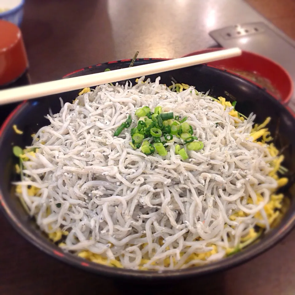 釜揚げシラス丼😋デカっ💦|アライさんさん