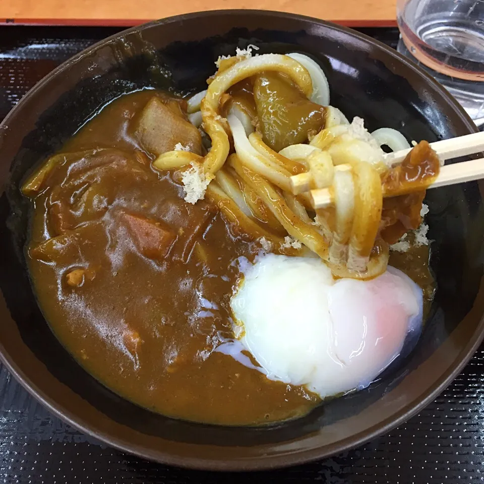 Snapdishの料理写真:カレーうどん 温玉|maixx ใหม่さん