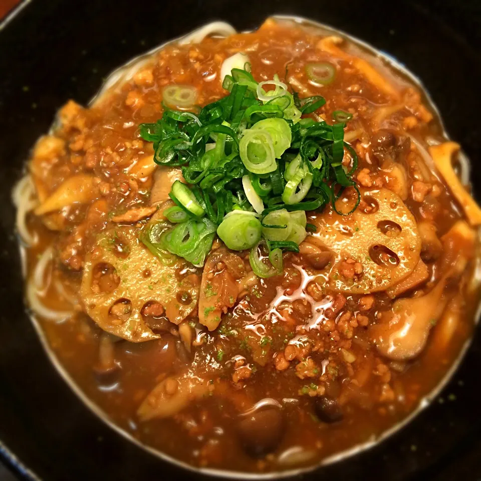 Snapdishの料理写真:鶏ひき肉と蓮根の出汁カレー1|半田手延べそうめんの店 阿波や壱兆さん