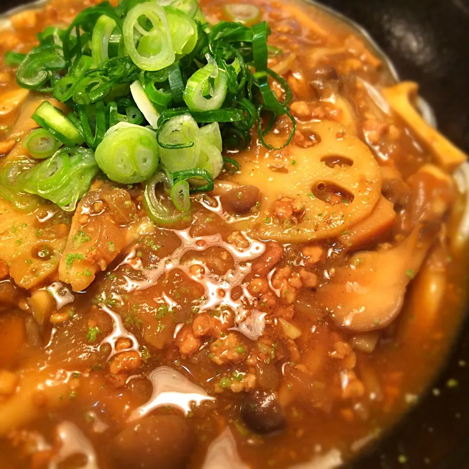 Snapdishの料理写真:鶏ひき肉と蓮根の出汁カレー3|半田手延べそうめんの店 阿波や壱兆さん