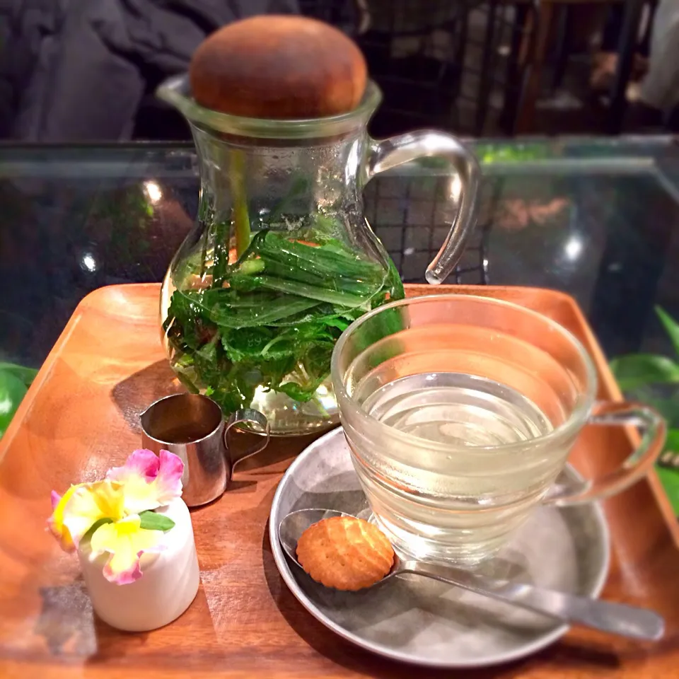 Fresh herb tea|Miki Akiyamaさん