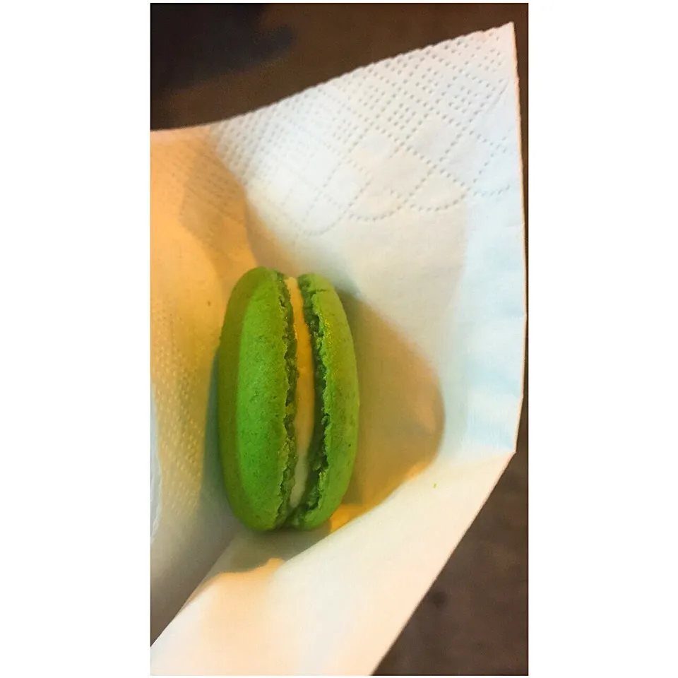 Mustard Macarons|yokiさん