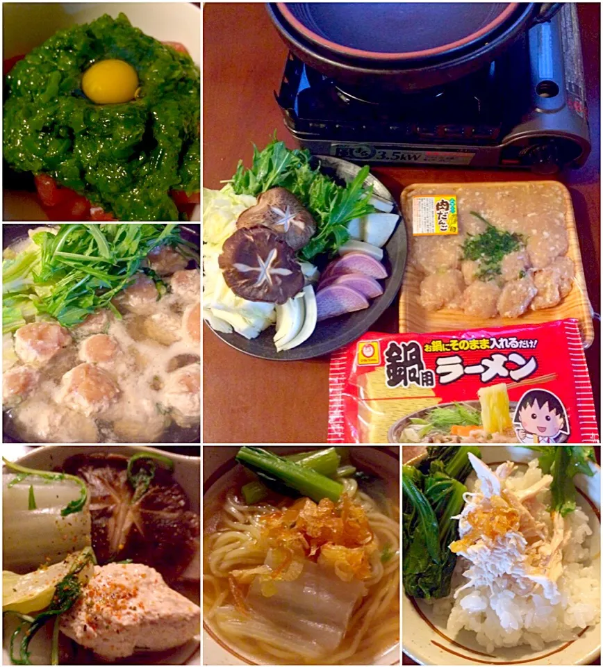 Snapdishの料理写真:Chicken pot&Chicken rice🍲日向鶏鍋&鶏肉飯|🌈Ami🍻さん