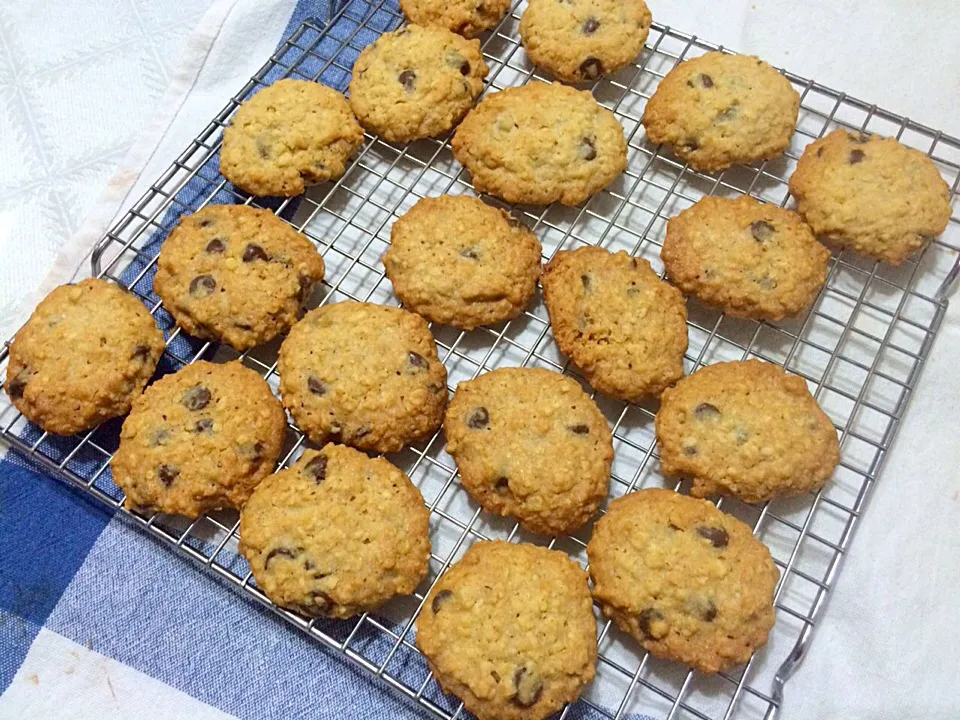 Crispy oatmeal choc chip cookies|hurul | 후룰さん