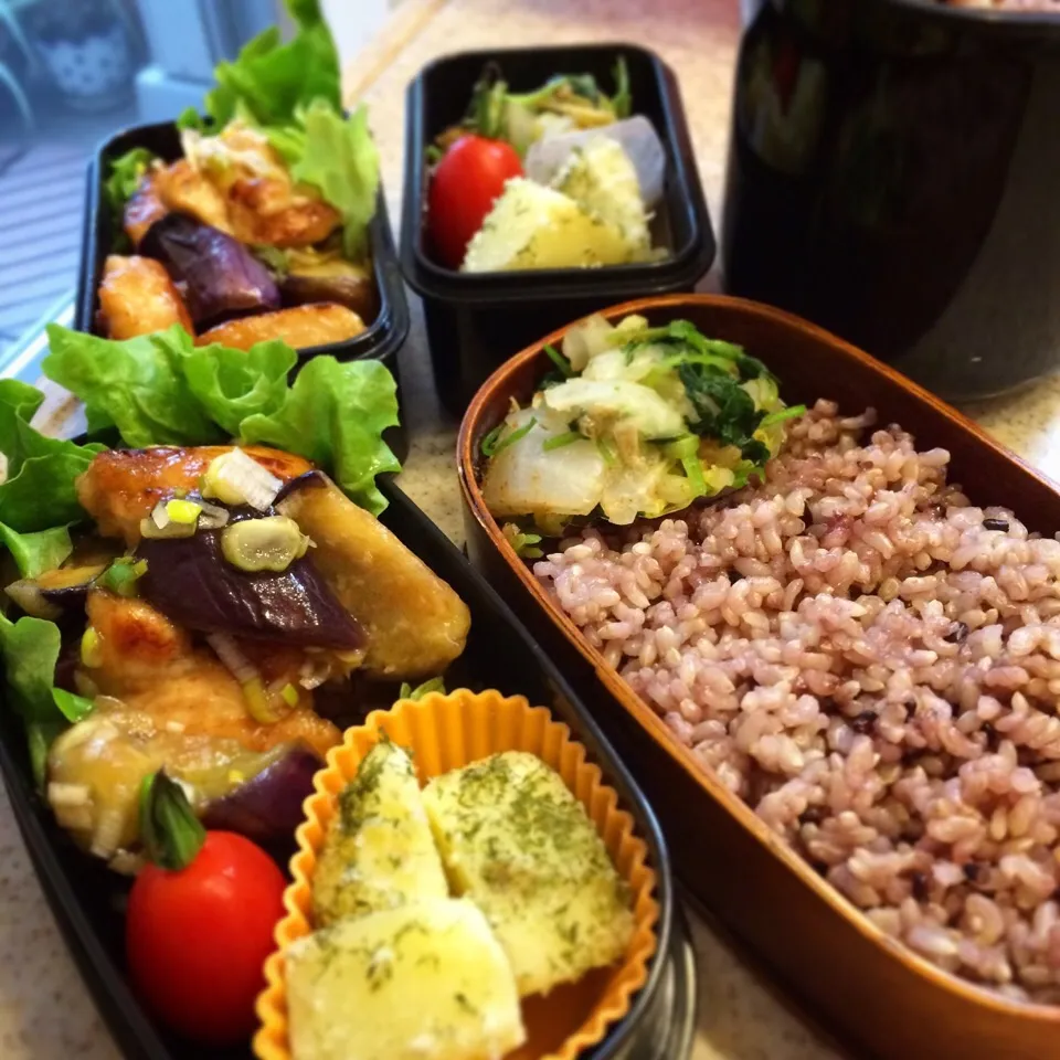 3/9 今日のお弁当|naoさん