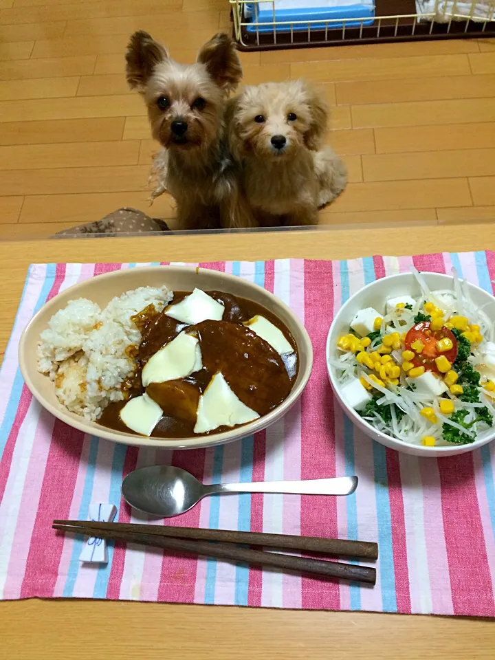 ☆ チキンハンバーグカレー|Fuyumi Nakanoさん