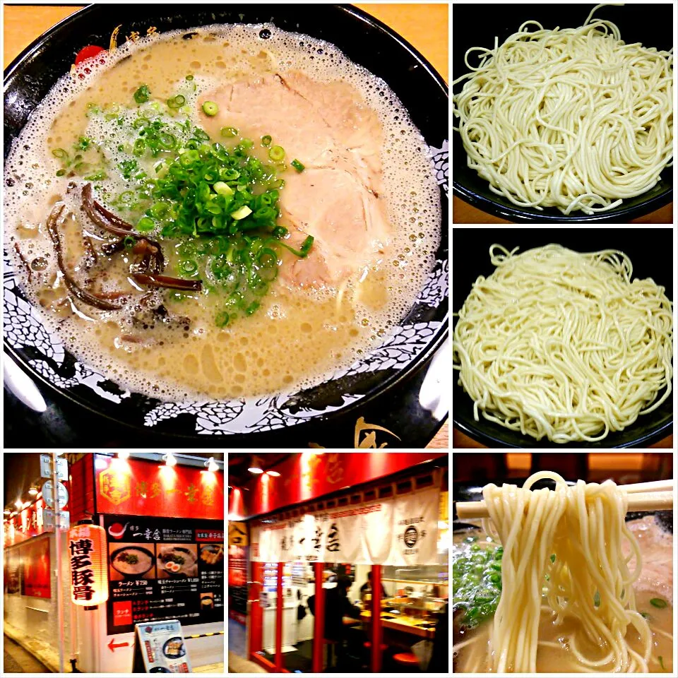 博多一幸舎 世田谷経堂店
ラーメン 750円 + 替玉 150円 ✕ 2
#ラーメン #東京都世田谷区 #経堂駅 #074|しんたたさん