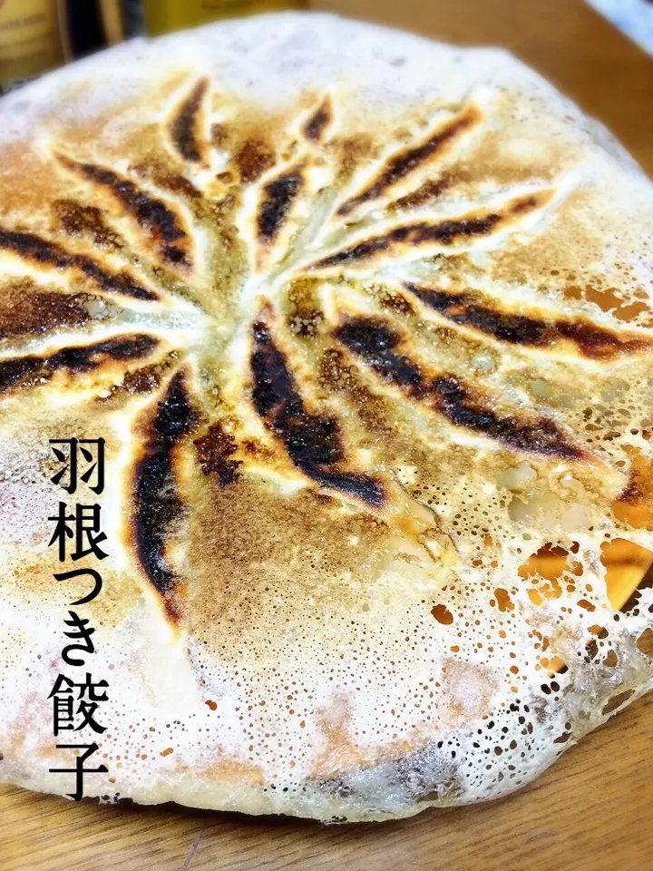 Snapdishの料理写真:焼き餃子〜|mihaさん