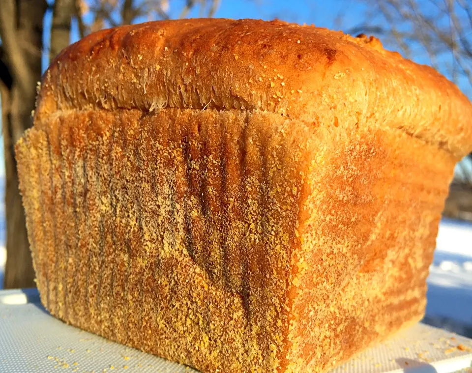 English muffin bread with corn meal|Dean M Rogersさん