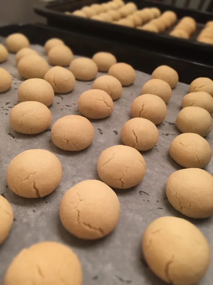 スノーボール|Chez Blancaさん