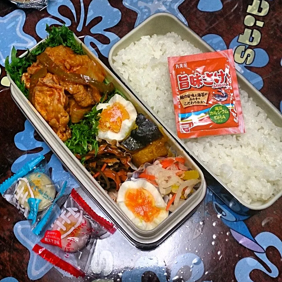 Snapdishの料理写真:3月11日 パパのお弁当|かなこさん