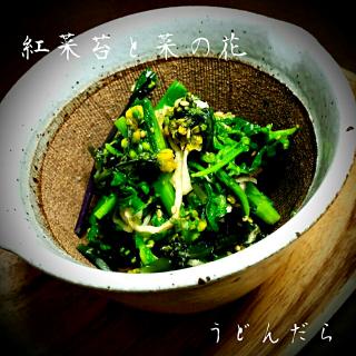 紅菜苔のレシピと料理アイディア114件 Snapdish スナップディッシュ