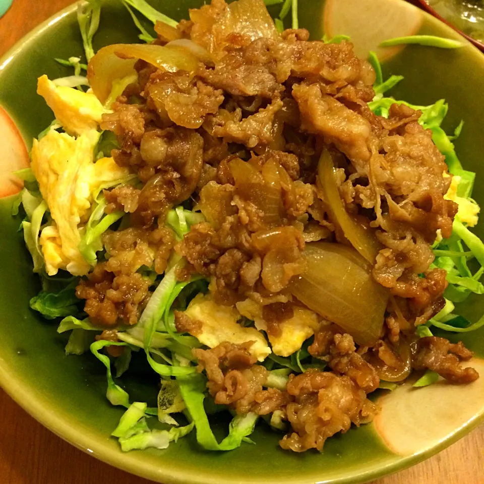 TVで見たトンケイ定食を丼にアレンジ。|ayacoさん