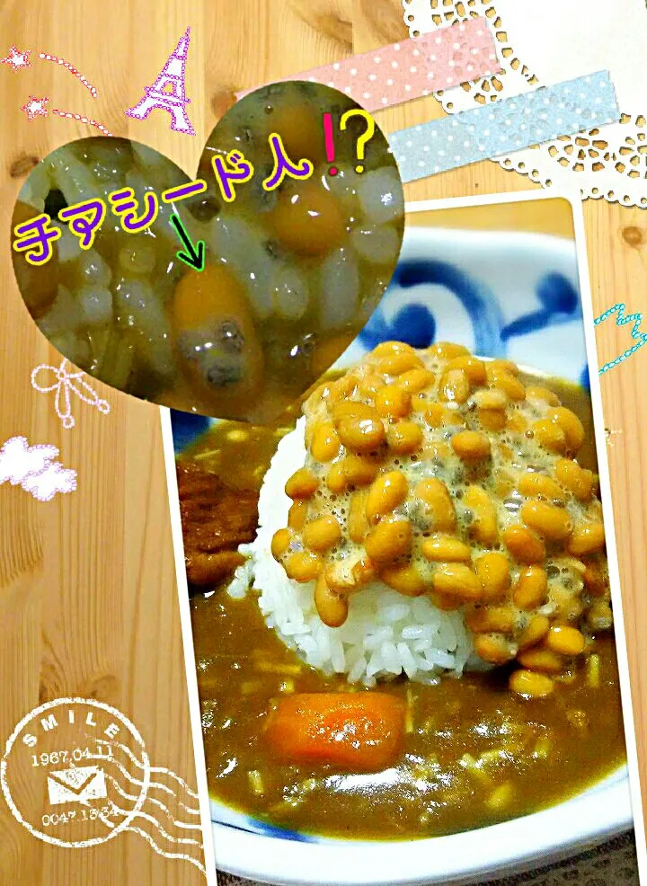 チアシード納豆に入れてみた😆これは、ありだよ❤ありだよ❤美味しいかも。
カレーには、納豆必須アイテムなんです😋💕|ひとみんΨ(*´∀｀)Ψさん