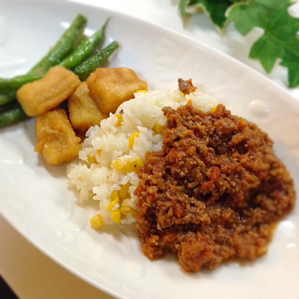 娘たちのおゆはん ミートソースご飯？ 高野豆腐とインゲン揚げ浸し|yukoさん