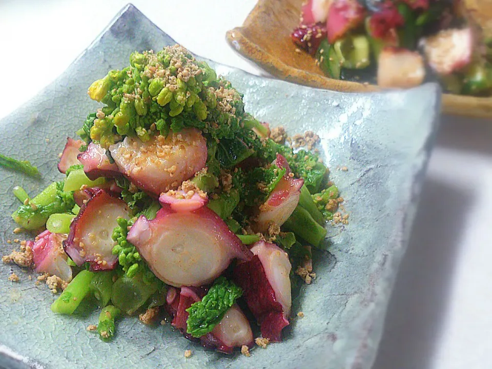 teruyoさんのタコと菜の花のチョジャン和え★|sakurakoさん