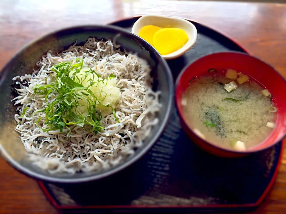 ちりめんおろし丼|山本忠宣さん