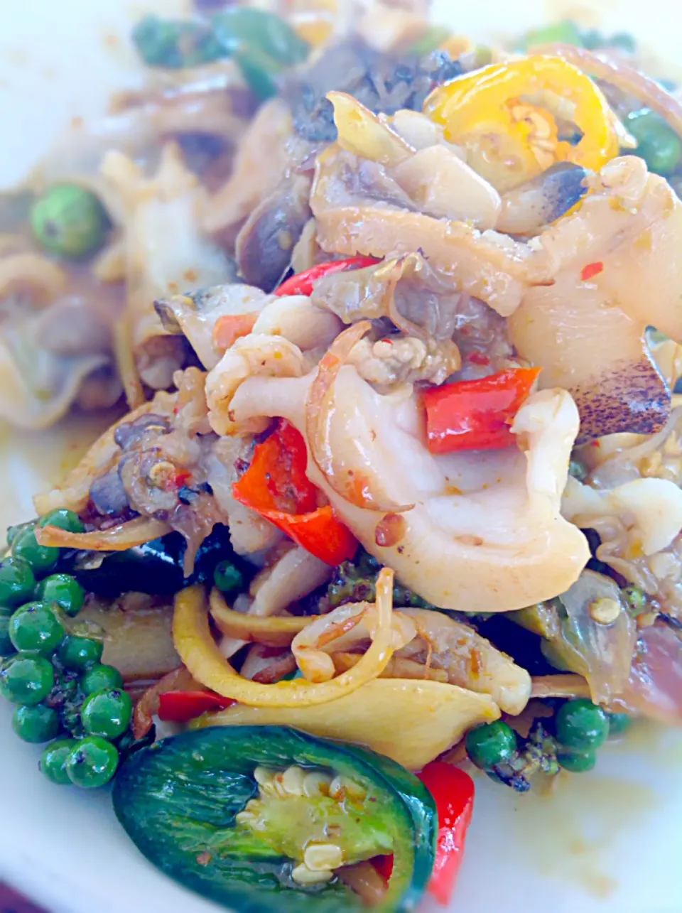 Gray Bonnet fried with thai herbs หอยกระต่ายผัดฉ่าาา😍|🍃aeyafternoon🌾さん