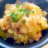 鶏肉とじゃが芋と葱の和風コクありご飯