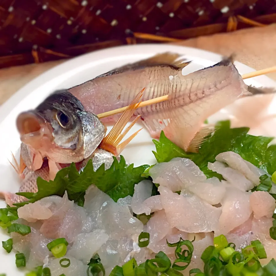 刺身 ウミタナゴ飾り盛り|スカポンタスさん