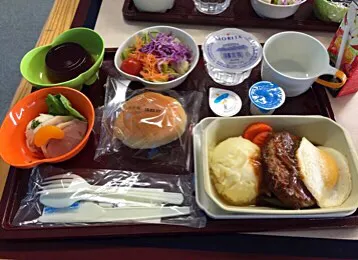 関空見学ツアーの機内食|Sachiyo Tanakaさん