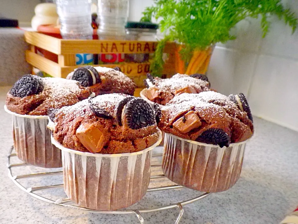 チョコレートマフィン|yuさん