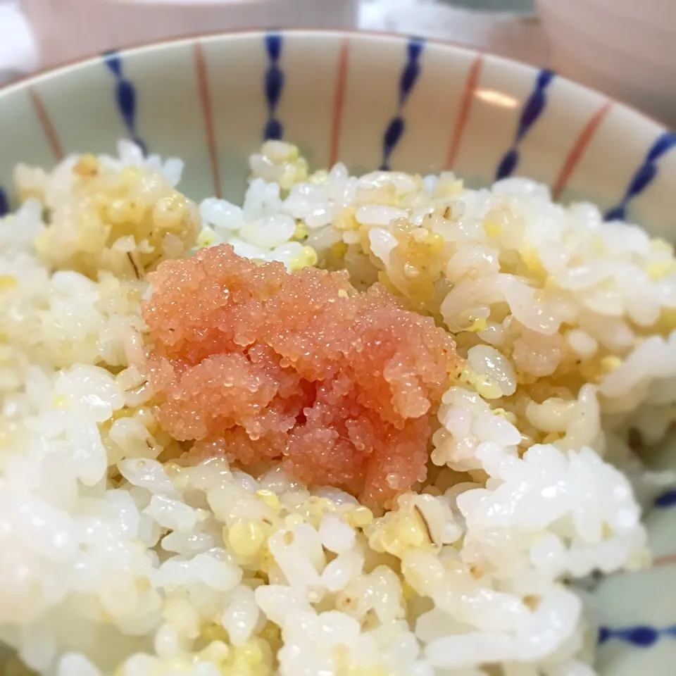 〆は明太子ご飯|スカポンタスさん