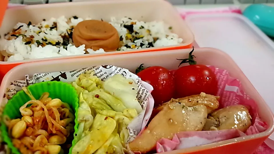 今日のお弁当⭐|かおりんさん