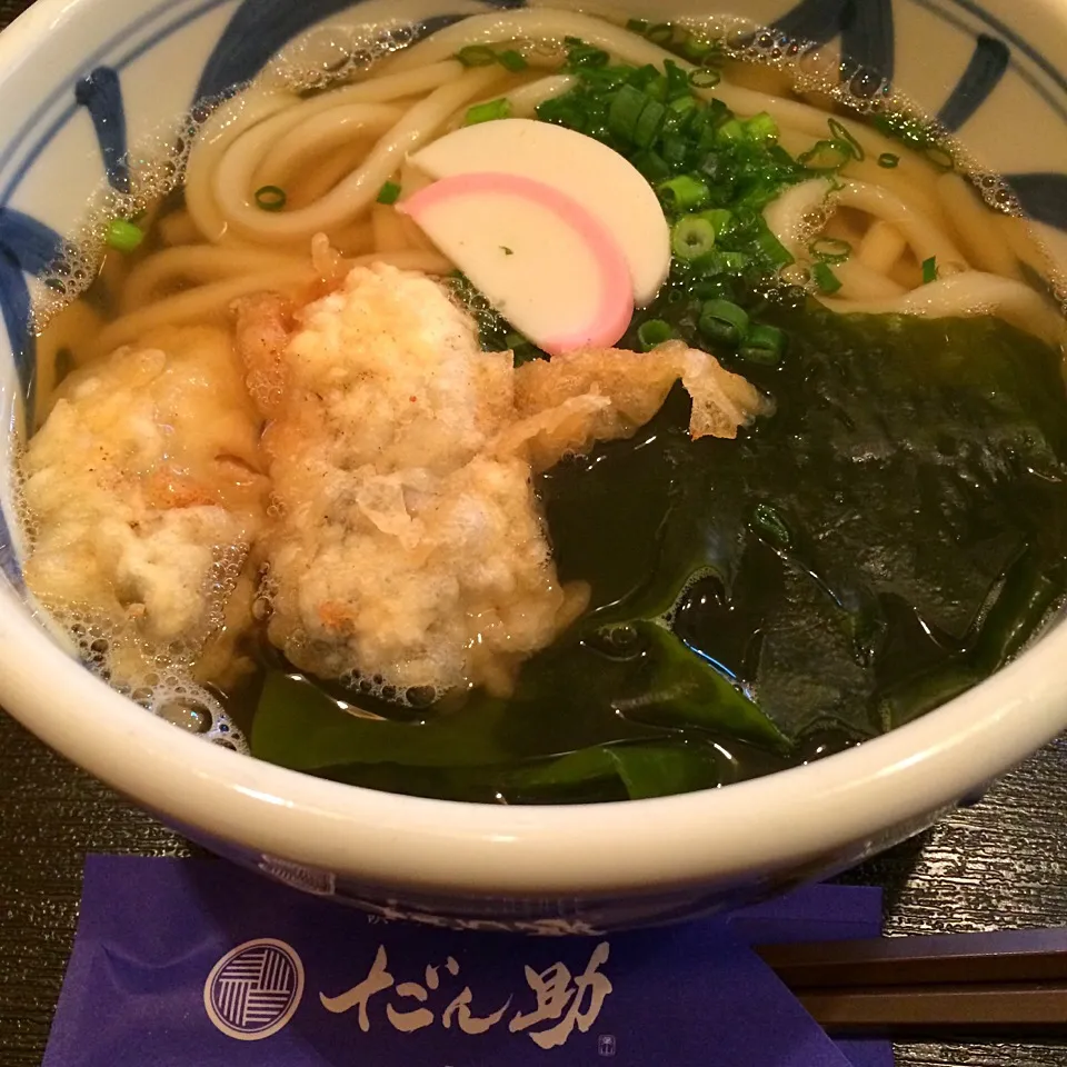 Snapdishの料理写真:牡蠣天と葉山わかめのうどん|志野さん