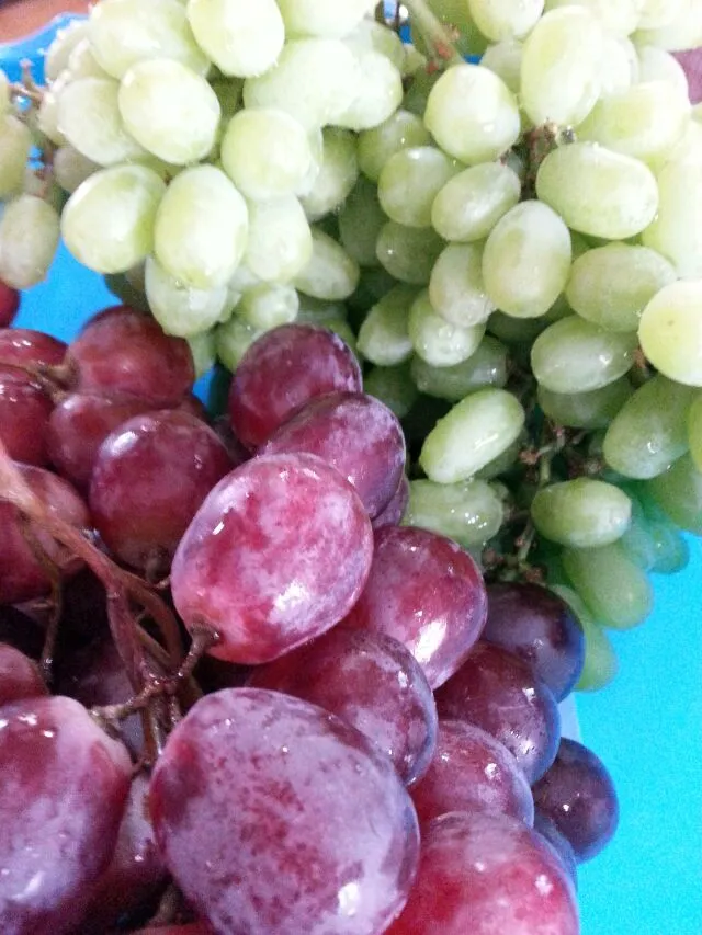 red globe grapes and green grapes.|Polly Gelfusoさん