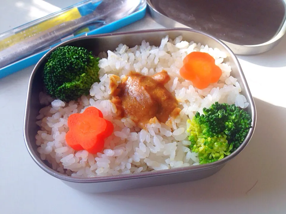 今日のお弁当|河野真希さん